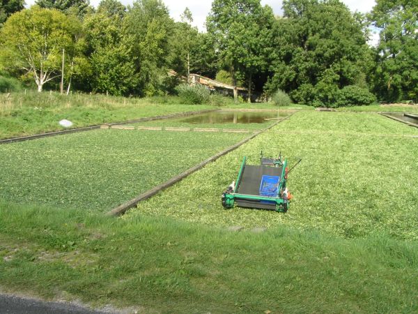 Watercress beds tractor on 6th September 2005