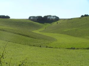 Church Bottom on 15th September 2007