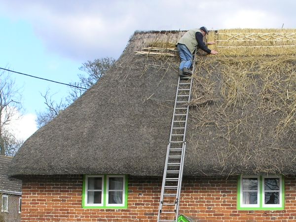 DL on Old Rafters on 27th March 2008