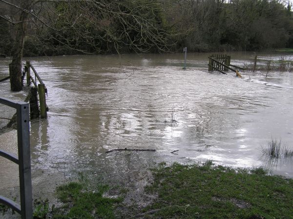 River Ebble on 27th January 2026