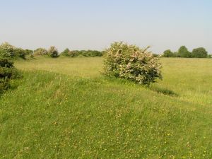 Chiselbury Hillfort; Ancient British Camp on 9th June 2006