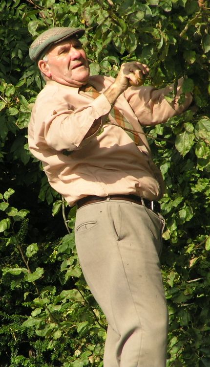 C P on 14th October 2007