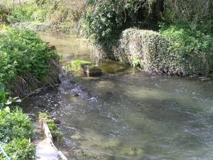 Old Broad Chalke bathing pool on 12th April 2011