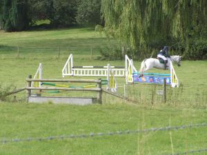 Wilton Pony Club south of Bury Lane on 28th August 2014