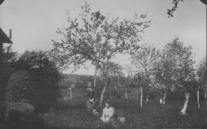 Nellie (left) at Barn Orchard