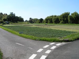 Watercress beds on 2nd September 2005