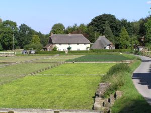 Watercress beds on 2nd September 2005