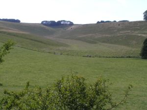 Church Bottom on 3rd September 2005