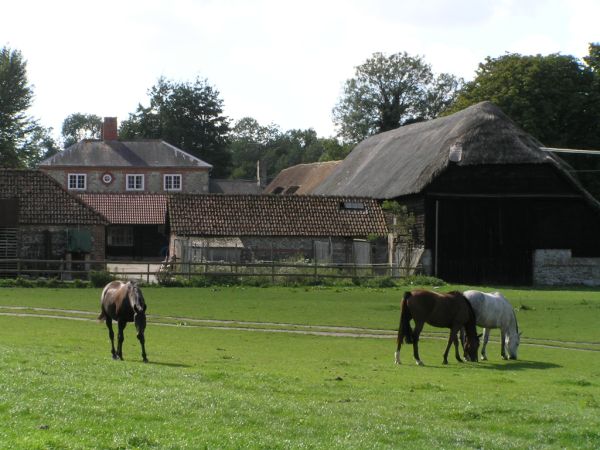 Knowle Farm on 6th September 2005 Knowle Farm on 6th September 2005