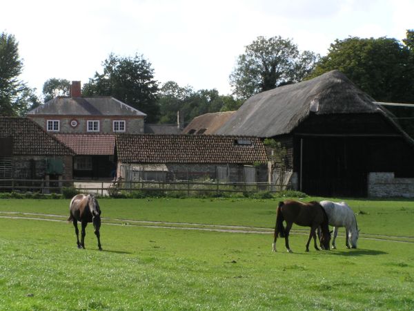 Knowle Farm on 6th September 2005