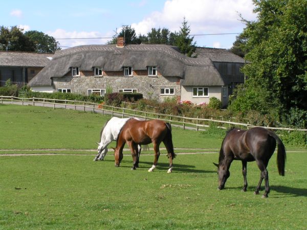 Cottages near Knowle Farm on 6th September 2005