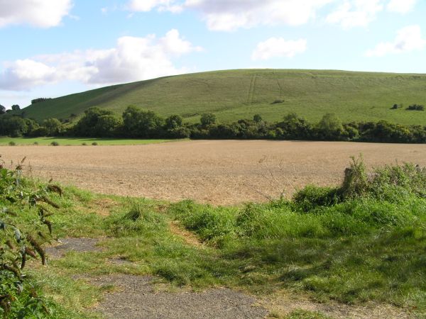 Entrance to Butt's Field on 29th September 2008