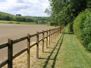 Fencing on 19th June 2009