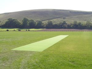 Artificial wicket on 29th September 2009