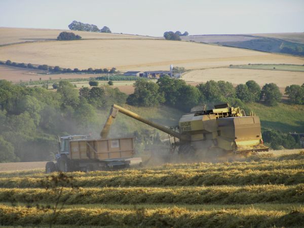 Combine harvester on 6th August 2006, looking towards Knowle Hill