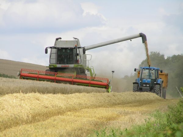 Combine harvester on 22nd August 2008