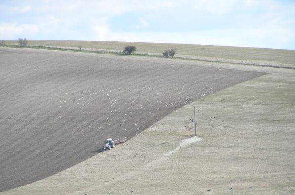 Knighton Hill on 18th September 2007