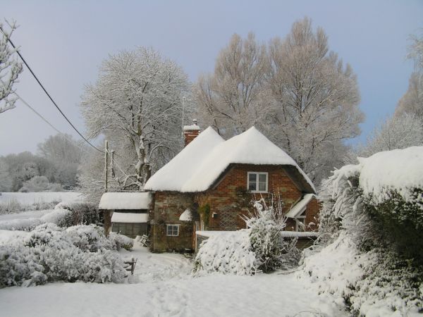 Penny Cottage on 18th December 2010